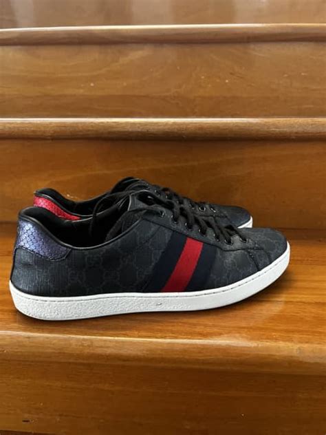 gucci ace sneakers gumtree